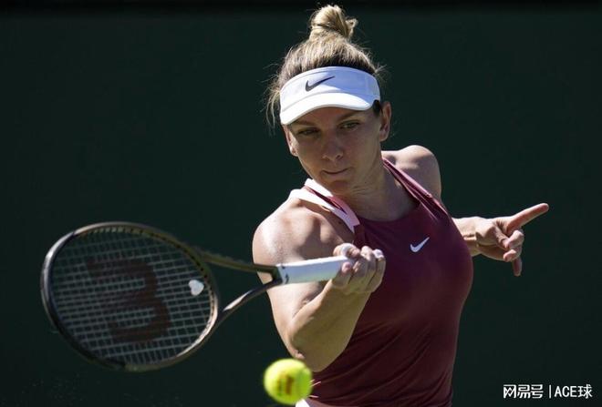 仅彰显了张 仅彰显了张