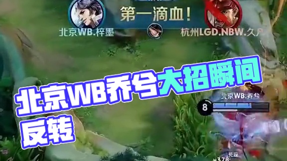 可见的细节